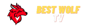 Best IPTV with HD and UHD options